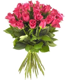 Pink Roses