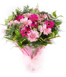 Sweet Daisies