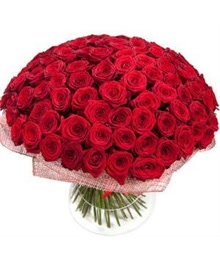 100 Red Roses